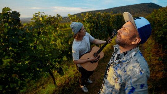 villányi borvidék, két ember a szőlőben, egyiknél gitár
