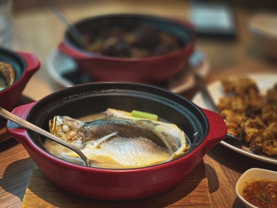 halászlé, hal és leves piros tányérban