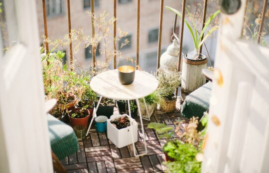 erkélyen asztal, növények, zöldség