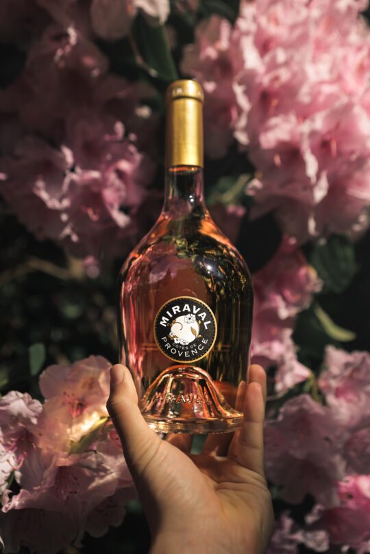 egy kéz rozé bort tart virágzó meggyfa előtt