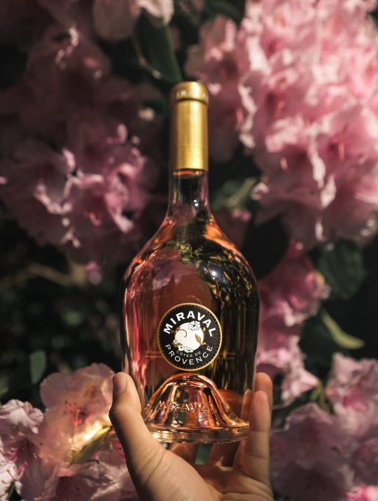 egy kéz rozé bort tart virágzó meggyfa előtt