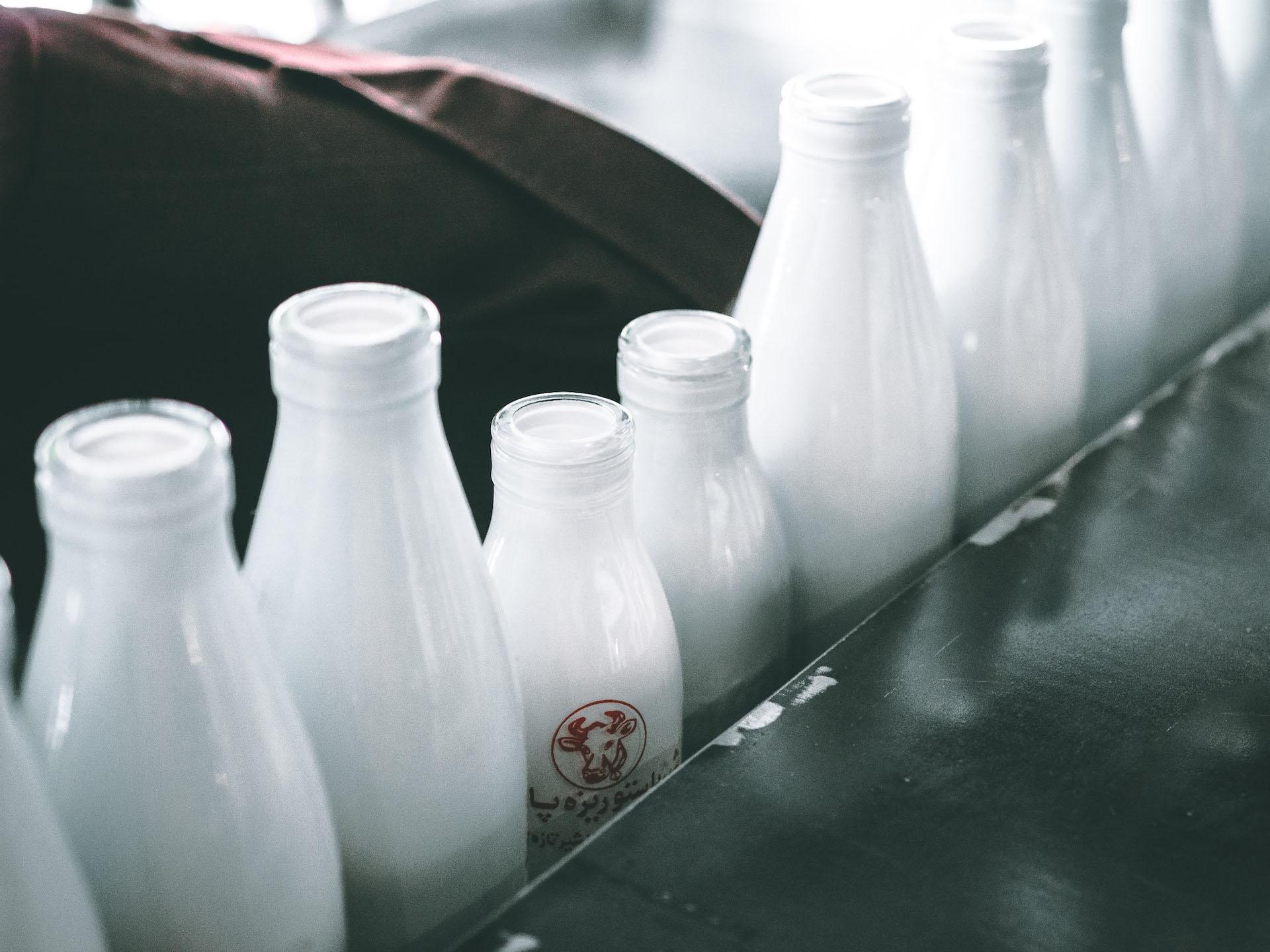 Tejtermékek: ezt mindenkinek tudnia kell! - Vince