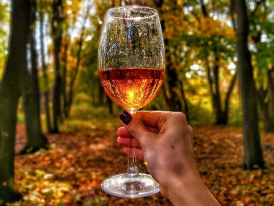 kézben egy átlátszó borospohár, mögötte őszi táj