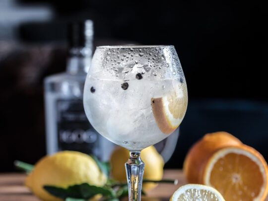 gin tonic, koktél, fehér ital átlátszó pohárban, körülötte citrom