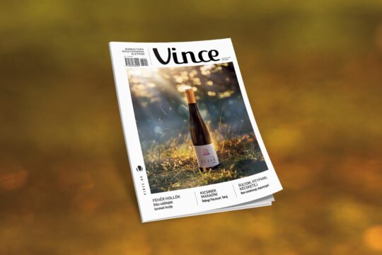 Vince Magazin októberi címlap