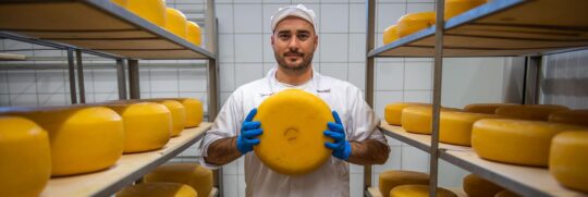 sárga sajt korongot tart a kezében egy férfi