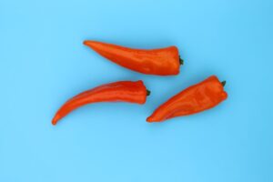 három darab piros paprika kék háttér előtt
