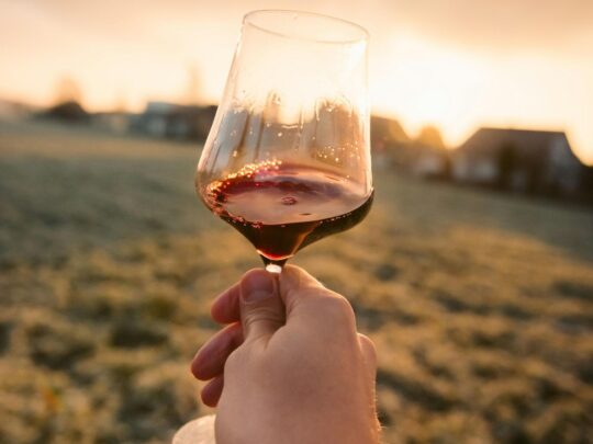 pohár vörösborral egy kézben