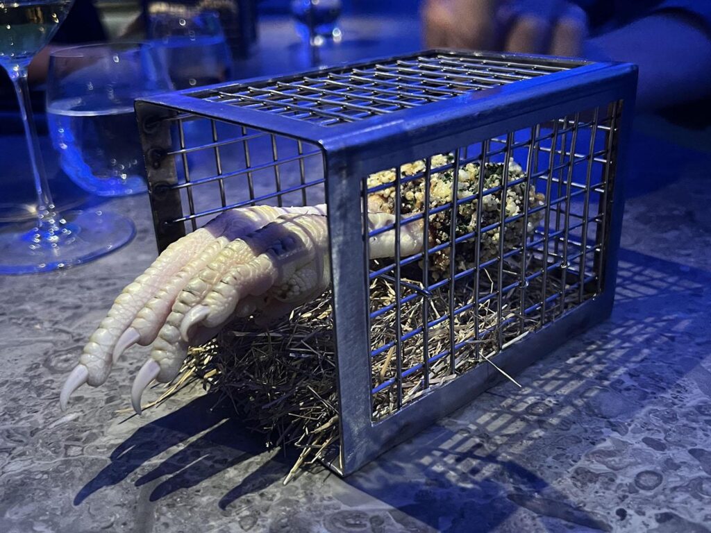 csirkeláb ketrecben