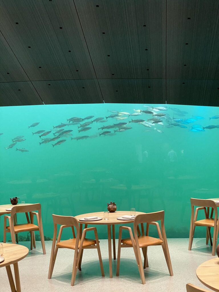 asztalok, székek, mögöttük üvegfal mögött halak úszkálnak