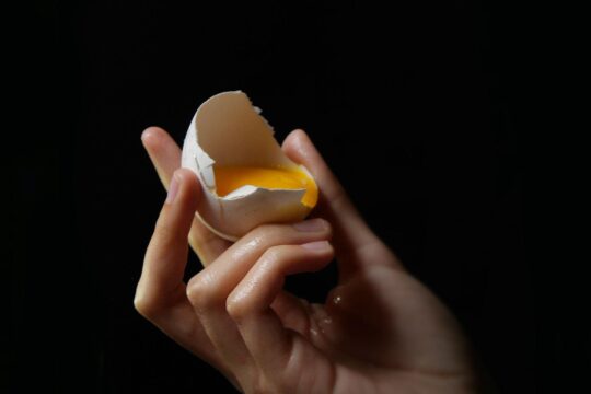 tojás kézben fekete háttér előtt