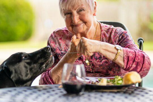 idős nő etet egy fekete kutyát asztalnál