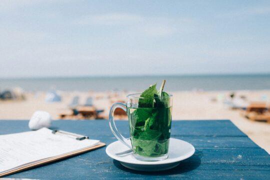 tengerparton pohárban zöld növény