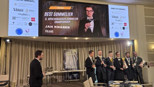 sommelier bajnokság