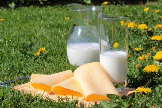 tej, sajt