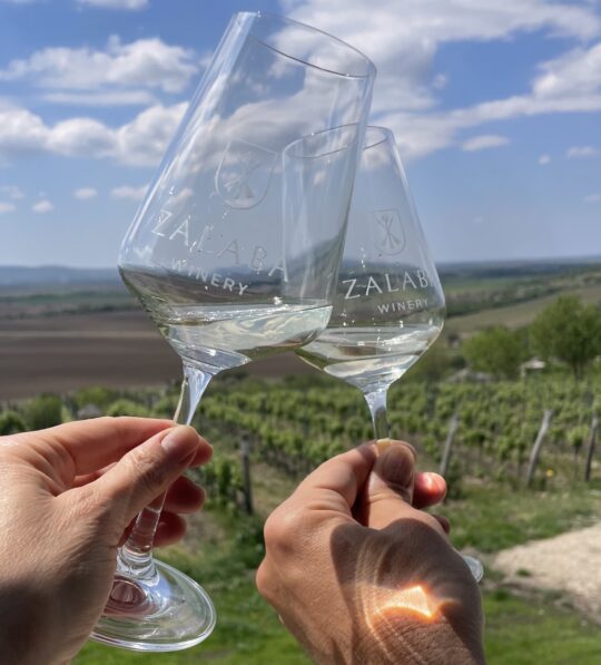 Zalaba Winery