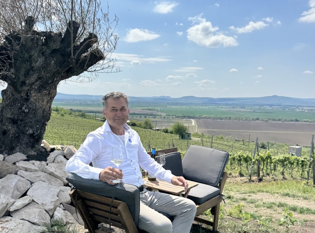 Zalaba József, Zalaba Winery