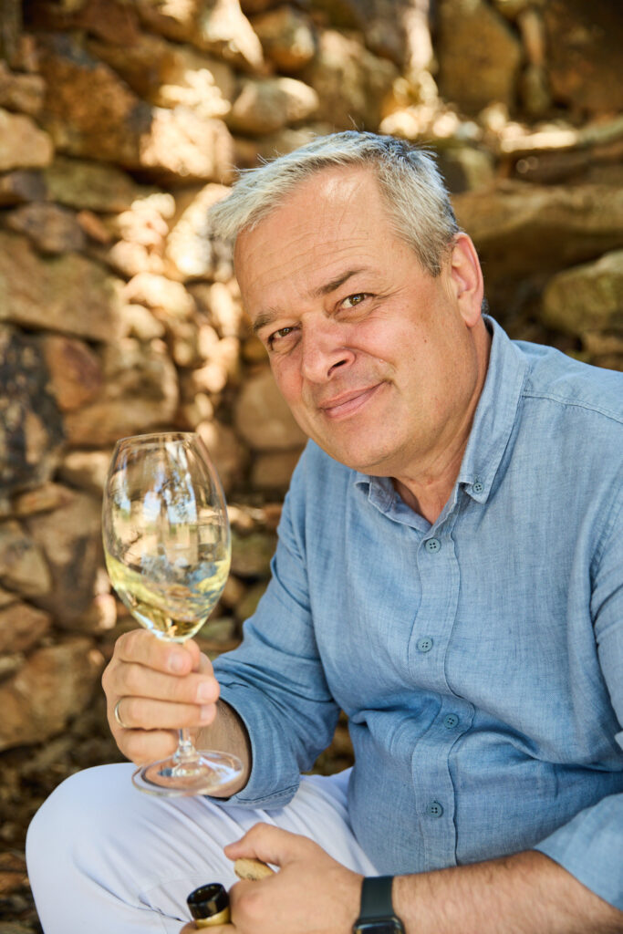 kovács zoltán