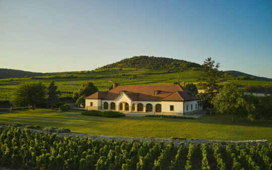 tokaj