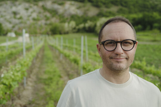 miklós csabi