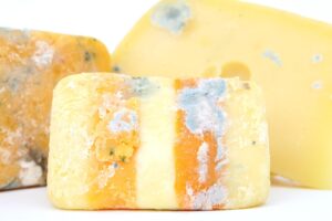 sajt