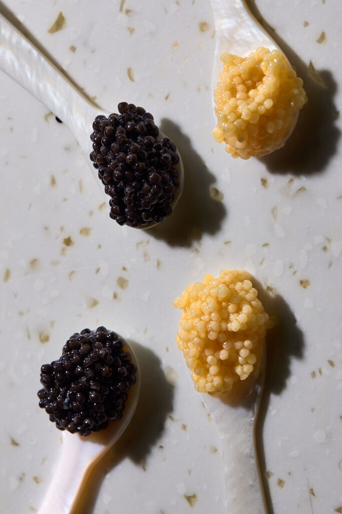 Caviar & Bull