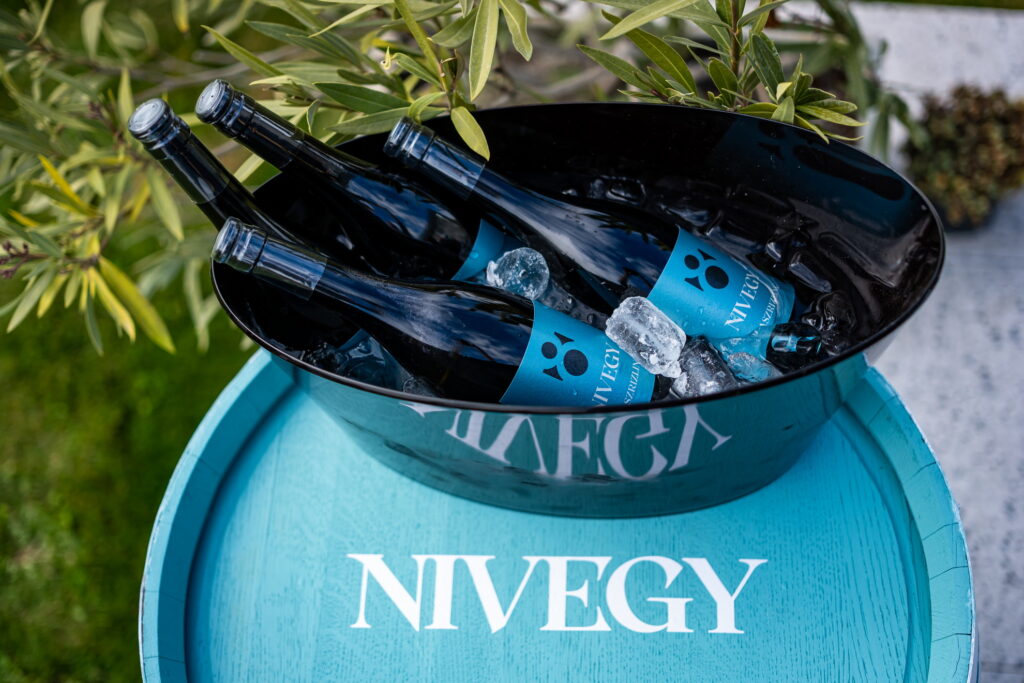 Nivegybor